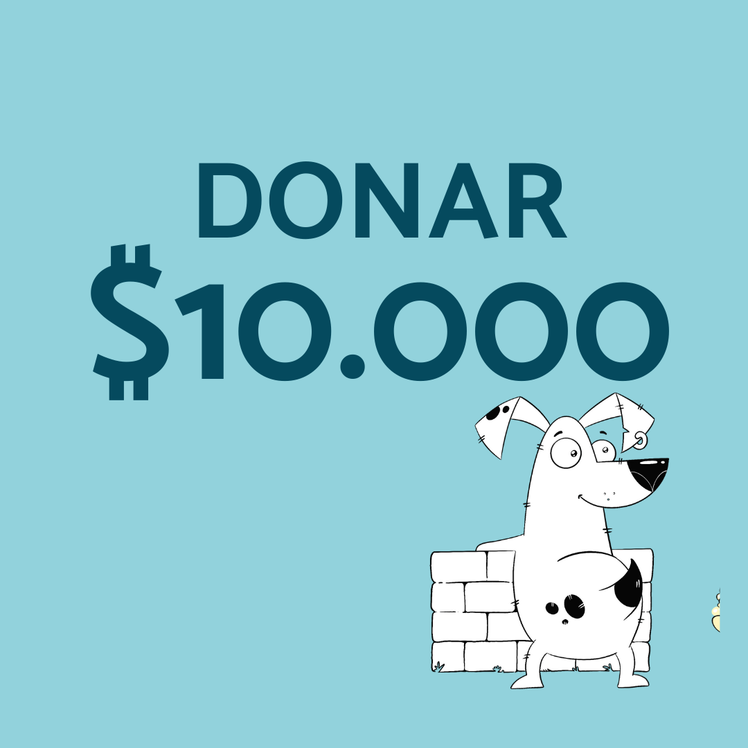 Donar $10.000